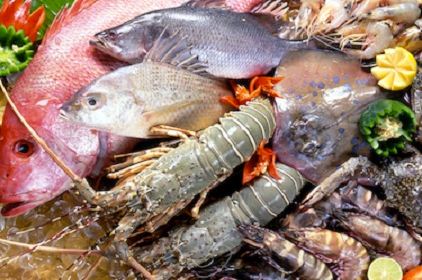 Safe-dining-tips-seafood-in-Halong-2